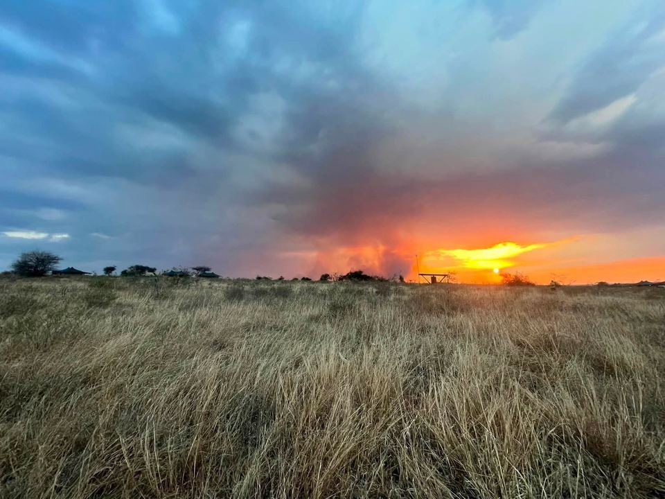 Storm clouds and a low sun over open grassland