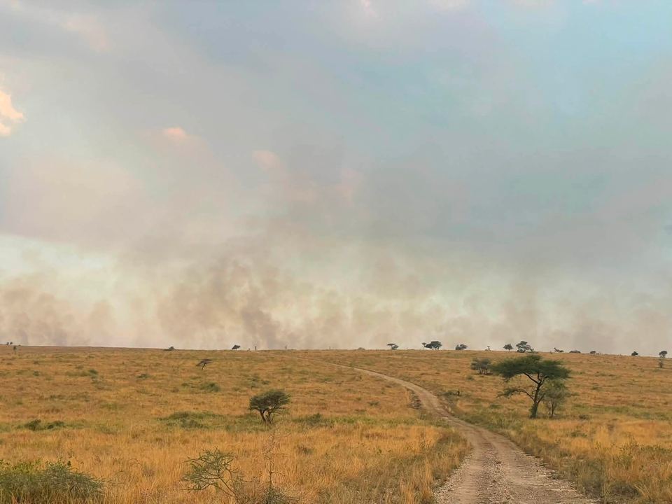 Track across the plains
