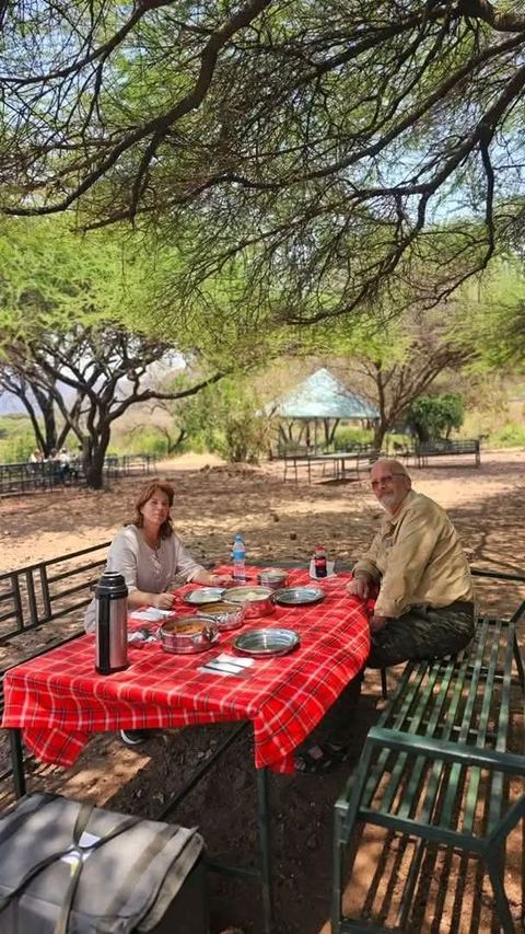 Picnic lunch